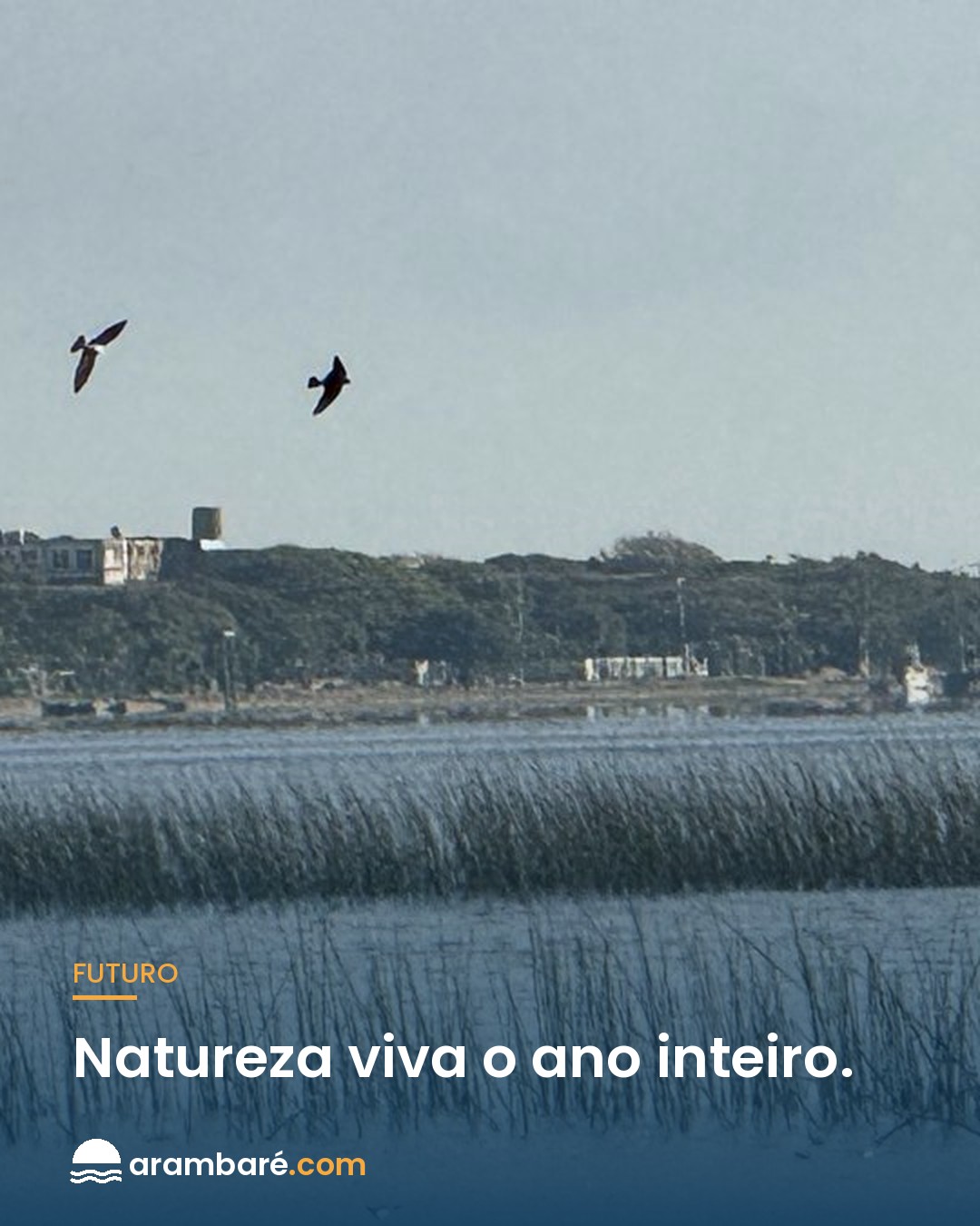 Natureza viva o ano inteiro. 🐦 Arambaré não é só verão. Fora da temporada, a orla se ench